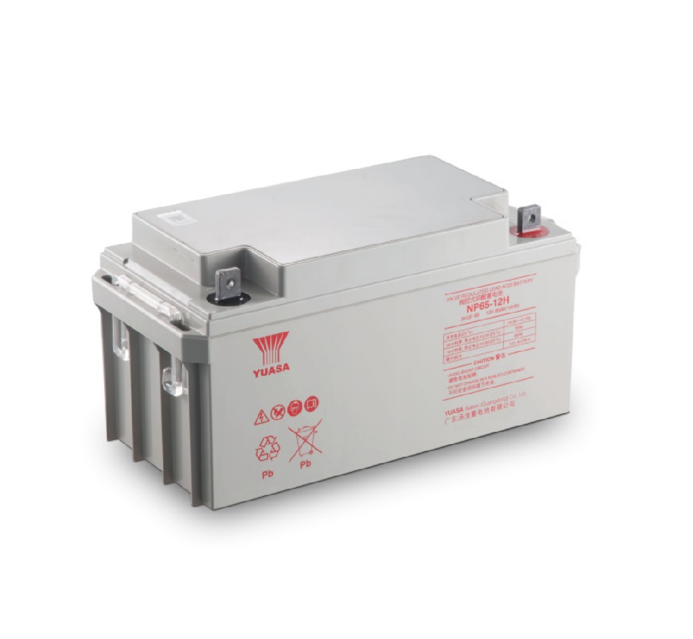 NP65-12H